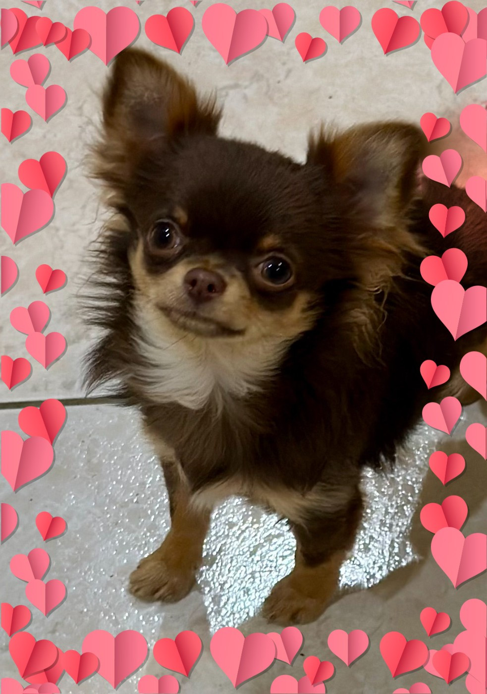 VADIOR J'ADORE Des Anges d'Agapi