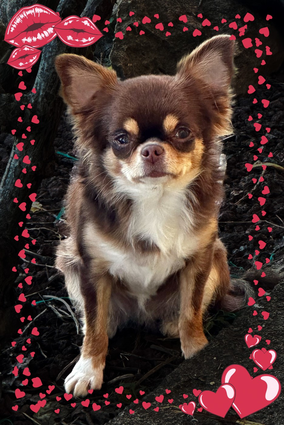 UGLY BETTY Des Anges d'Agapi